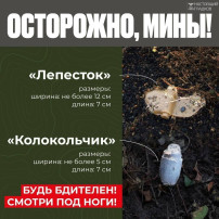Осторожно, мины! Осторожно, мины!.