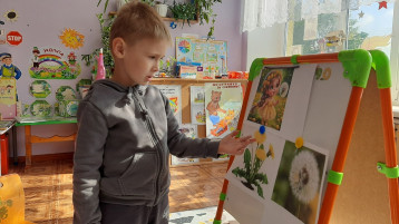 Международный день одуванчика Международный день одуванчика.